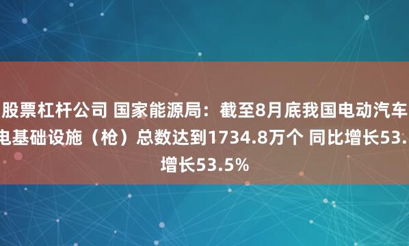 股票杠杆公司 国家能源局：截至8月底我国电动汽车充电基础设施（枪）总数达到1734.8万个 同比增长53.5%
